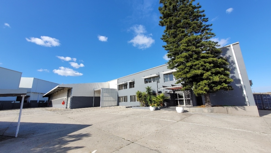 To Let commercial Property for Rent in Epping Industrial Western Cape